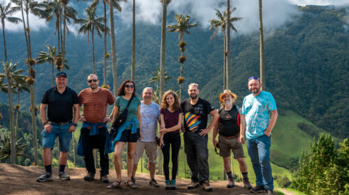 Valle del Cocora