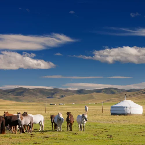 FIN_4 Mongolsko – cesta ze západu na východ